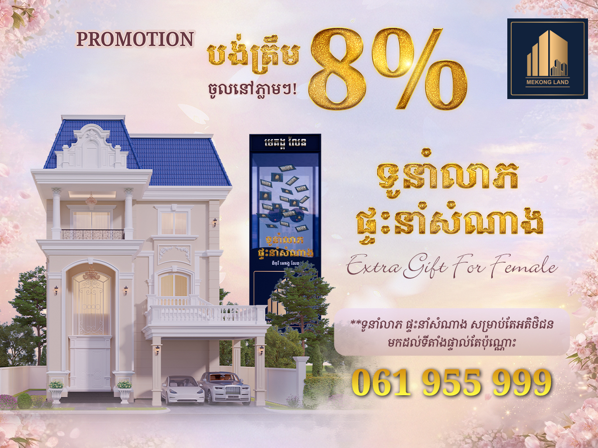 Borey Mekong Land Website 