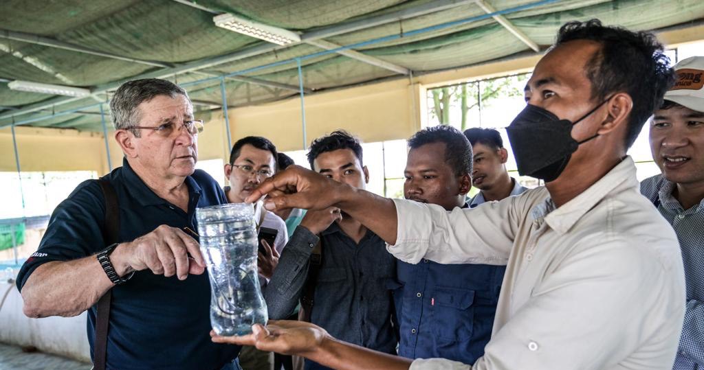 Cambodia's Pangasius Catfish Value Chain Getting a Boost ក្រសួងព័ត៌មាន