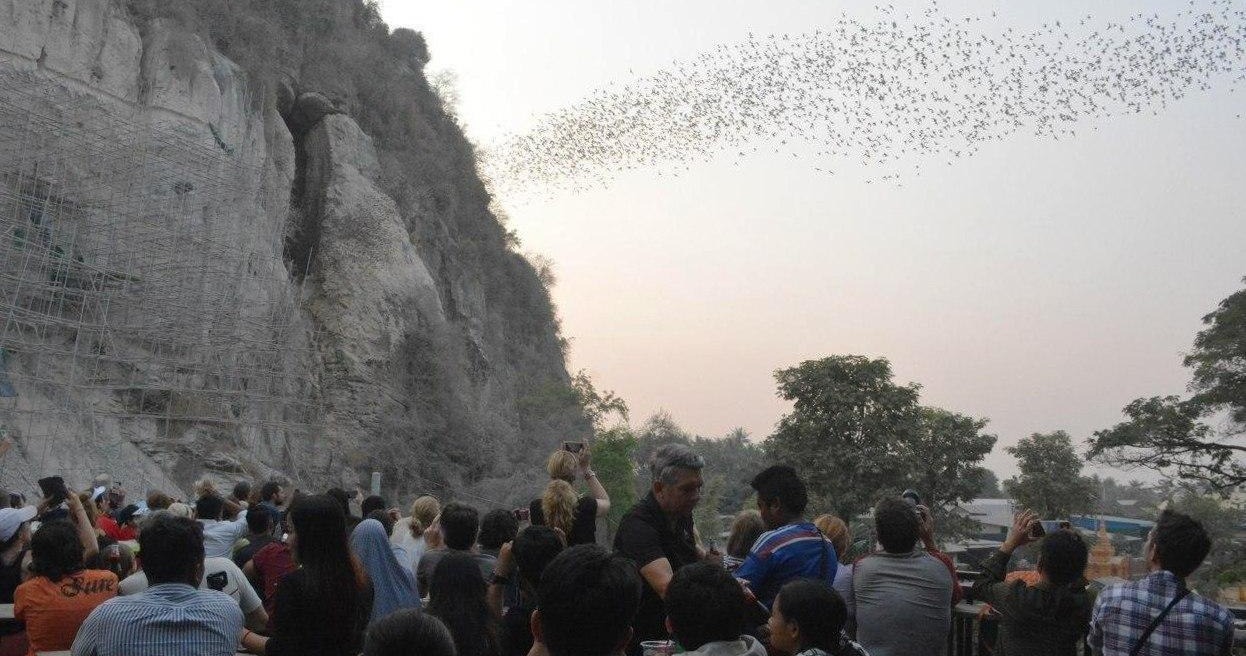 Phnom Sampov Bat Cave Attracting More Tourists ក្រសួងព័ត៌មាន