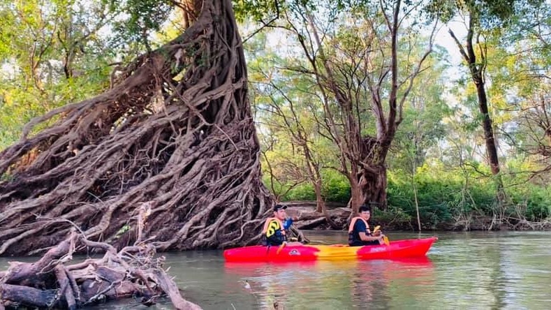 រមណីយដ្ឋានទេសចរណ៍បក្សីមេគង្គខេត្តស្ទឹងត្រែងមានទេសភាពយ៉ាងស្រស់ត្រកាល - ក្រសួងព័ត៌មាន