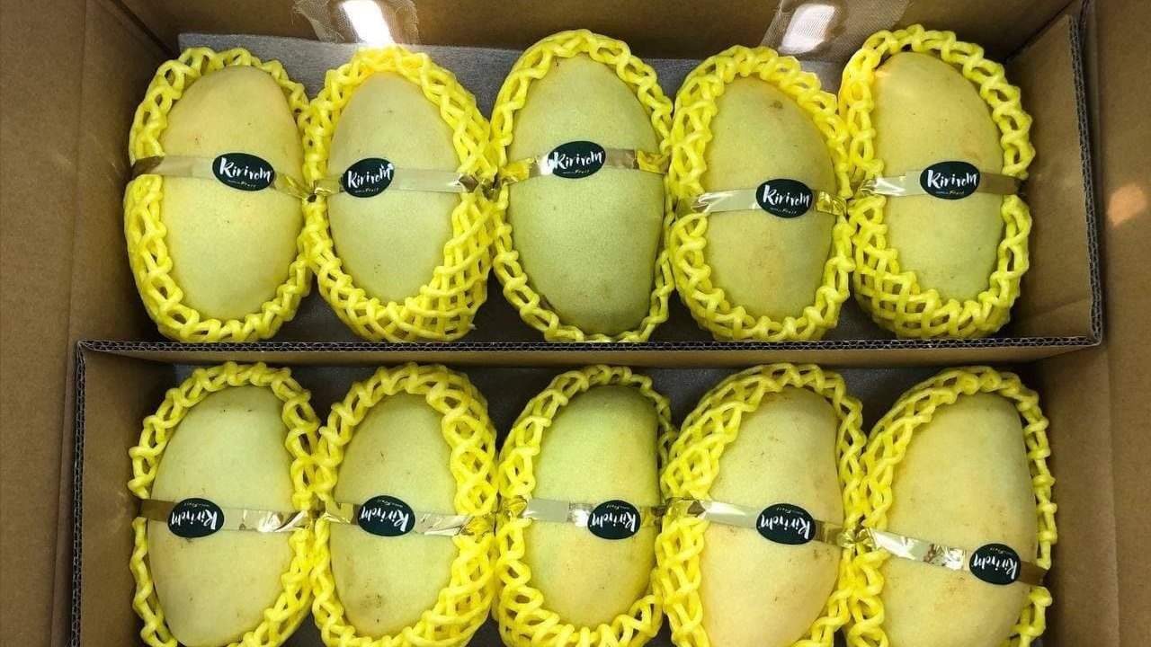 Cambodia Starts Direct Shipping of Fresh Mangoes to China ក្រសួងព័ត៌មាន