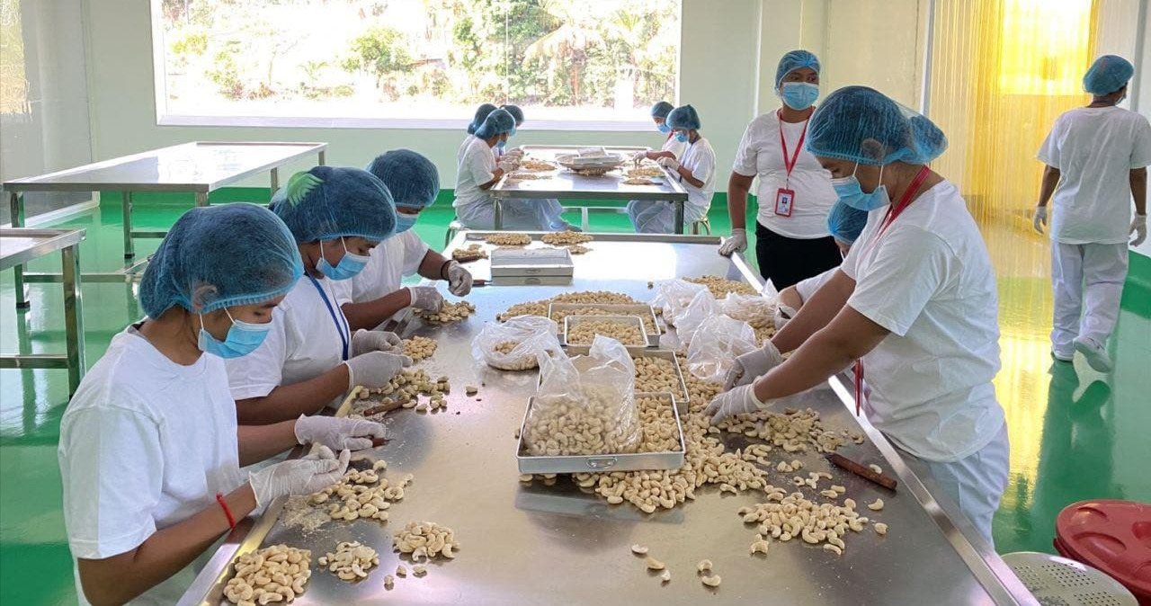 Kampong Thom Cashew Nut Processing Handicraft Starts Direct Shipment of